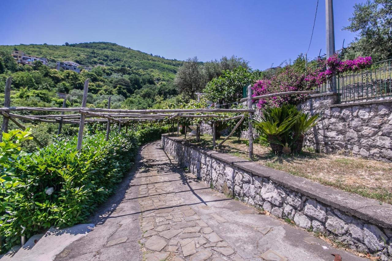 Villa Costanza Sorrento B&B Sant'Agnello Exterior photo