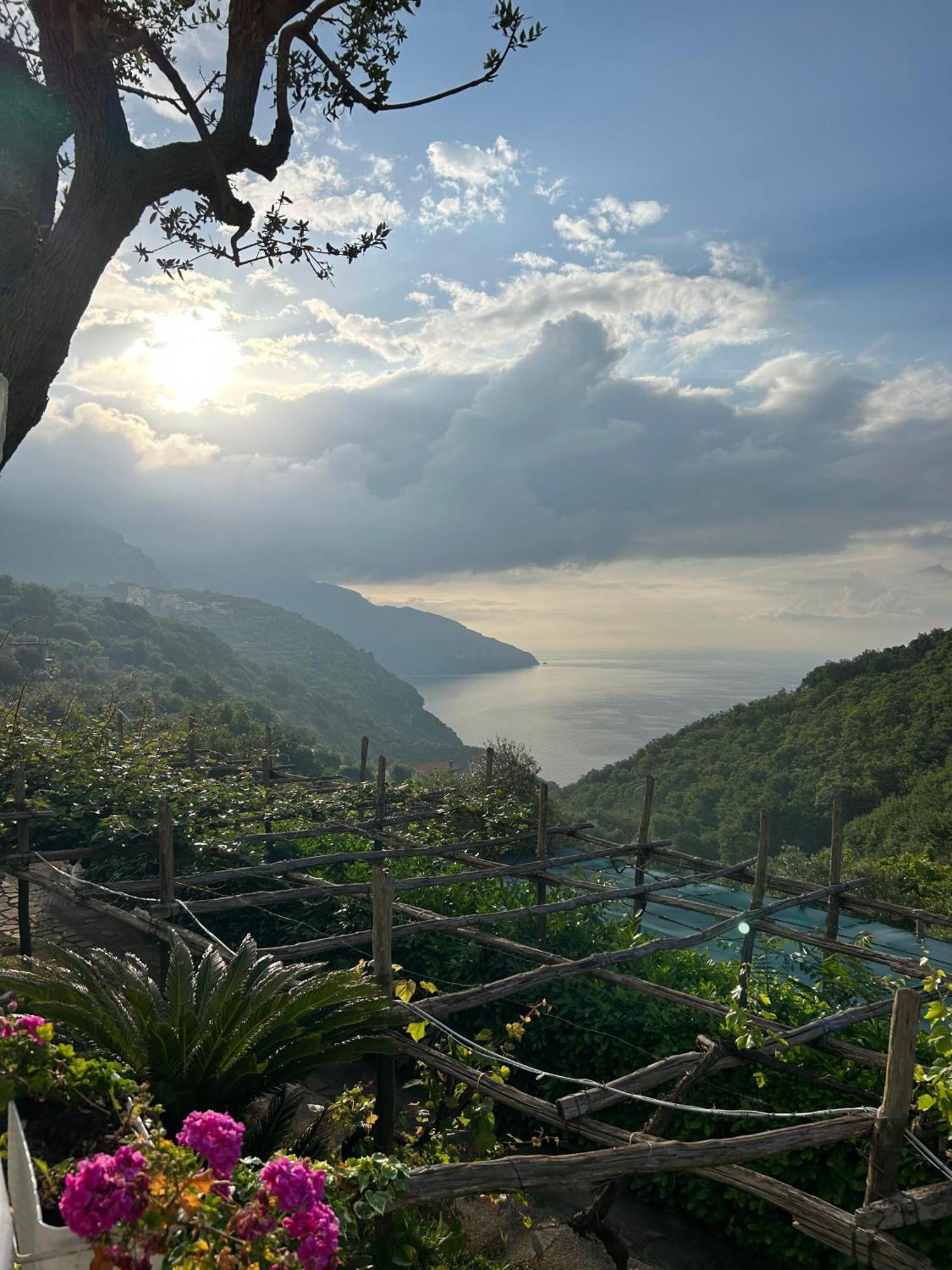 Villa Costanza Sorrento B&B Sant'Agnello Exterior photo
